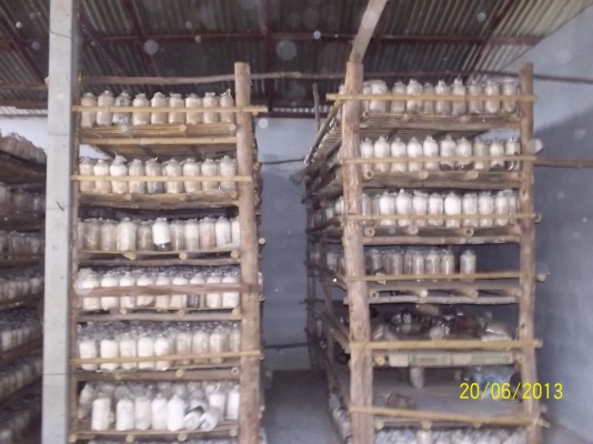 ขอโทษทีครับขายที่ดินที่ทำเลดี ติดถนนใหญ่  หน้าทาง  33เเตร สายโชคชัย-เดชอุดม