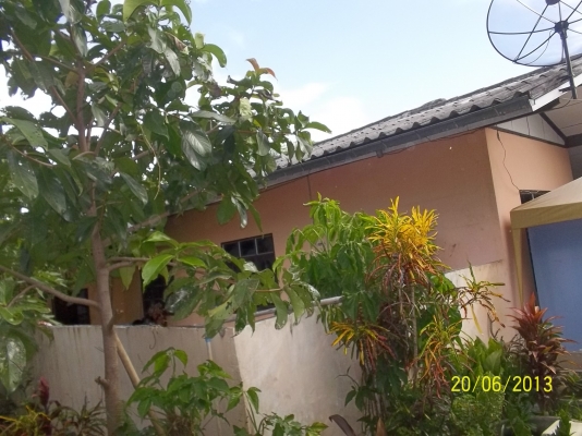 ขอโทษทีครับขายที่ดินที่ทำเลดี ติดถนนใหญ่  หน้าทาง  33เเตร สายโชคชัย-เดชอุดม