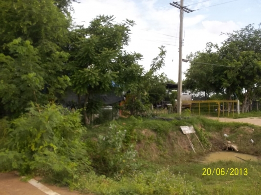 ขอโทษทีครับขายที่ดินที่ทำเลดี ติดถนนใหญ่  หน้าทาง  33เเตร สายโชคชัย-เดชอุดม