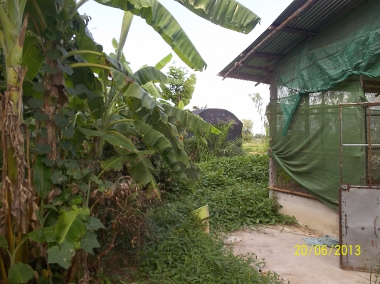 ขอโทษทีครับขายที่ดินที่ทำเลดี ติดถนนใหญ่  หน้าทาง  33เเตร สายโชคชัย-เดชอุดม