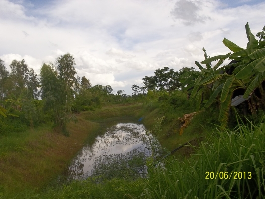 ขอโทษทีครับขายที่ดินที่ทำเลดี ติดถนนใหญ่  หน้าทาง  33เเตร สายโชคชัย-เดชอุดม