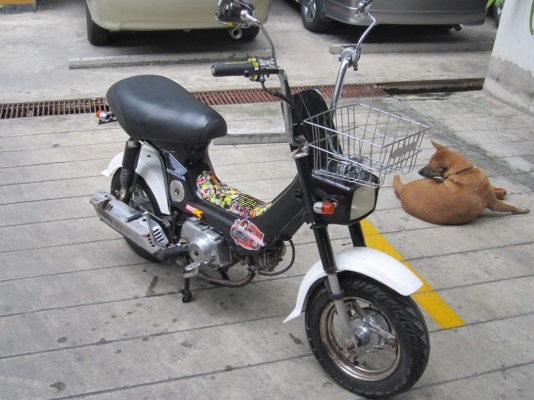 รีบใช้เงินด่วนที่สุดแล้วครับ ! ชาลีสีดำสวยแบบมีคลาส เครื่องดีมี cdi ทีเดียวติด ไฟสว่าง ช้าอดชัวร์ กทม.