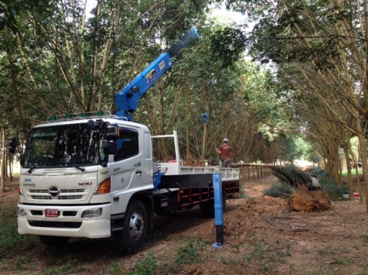 ให้เช่า