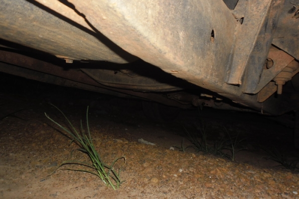 ขาย กระบะตอนเดียว NISSAN BIG-M 2.5TD SINGLE ปี33/90 เครื่องวางใหม่ TD2.7 ฝาดำ(ลงเล่ม) แห้งดีไม่เยิ้มติดง่าย ช่วงล่างแน่นคัสซีสวย ไม่ผุไม่ดาม สีดีเก็บมาแล้ว หัวเก๋งไม่ผุ แปลงหน้าหัก คานหน้าเดิม ฝาท้าบมีให้ ภายในดี ยางดี4เส้น สภาพพร้อมใช้ พร้อมลุยงาน ราคาต่ ขาย กระบะตอนเดียว NISSAN BIG-M 2.5TD SINGLE ปี33/90 เครื่องวางใหม่ TD2.7 ฝาดำ(ลงเล่ม) แห้งดีไม่เยิ้มติดง่าย ช่วงล่างแน่นคัสซีสวย ไม่ผุไม่ดาม สีดีเก็บมาแล้ว หัวเก๋งไม่ผุ แปลงหน้าหัก คานหน้าเดิม ฝาท้าบมีให้ ภายในดี ยางดี4เส้น สภาพพร้อมใช้ พร้อมลุยงาน ราคาต่