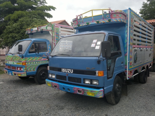 ขาย ISUZU NPR รถห้างทั้งคู่ ดั้มเกษตร 2 คัน
