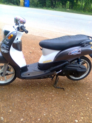 ฟีโน่51แม็กแท้