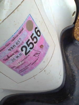 ฟีโน่51แม็กแท้