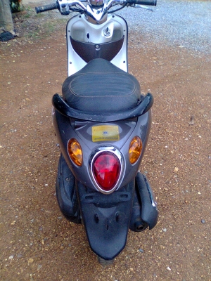 ฟีโน่51แม็กแท้