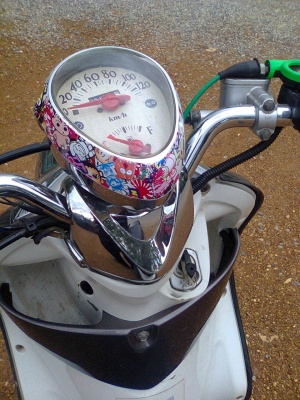 ฟีโน่51แม็กแท้