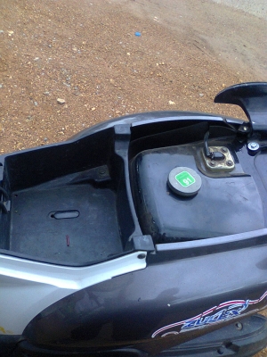 ฟีโน่51แม็กแท้