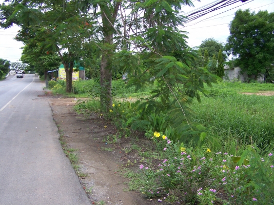 ให้เช่าที่ดินเเปลงนี้