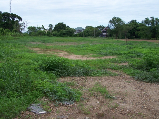 ให้เช่าที่ดินเเปลงนี้