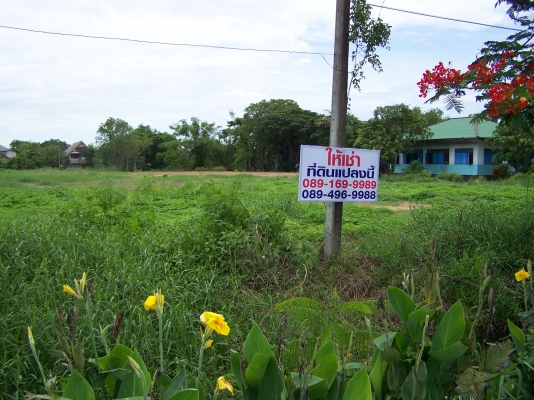 ให้เช่าที่ดินเเปลงนี้