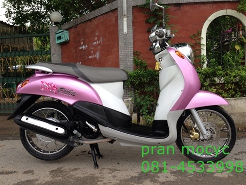 ขายfinoสีชมพูขาวปี2555 ขายfinoสีชมพูขาวปี2555