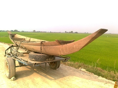 เรือพายม้า ไม้สักทั้งลำ