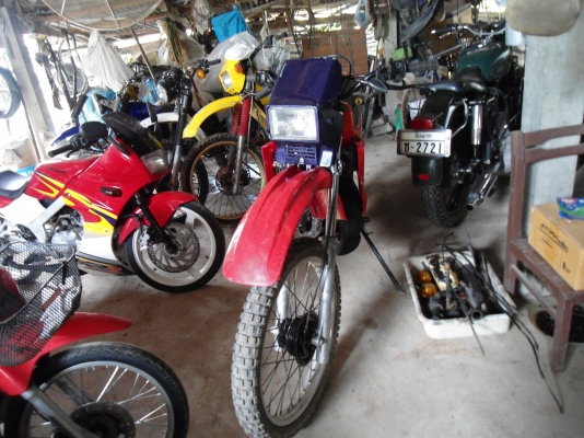 ขาย MTX ด่วน ติดต่อ