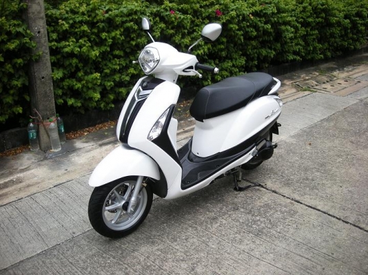 ~~~ ขายมอไซค์ 21 คัน  XSR 1 CBR 1 CB150 1 ADV 1 NMAX 1 AEROX 2 Lexi 1 Grand Filano 2 QBIX 4 GT125 3 Fino 2 Super Cub 1  Finn 1  ~~~