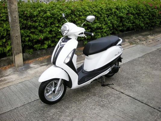 ~~~ ขายมอไซค์ 21 คัน  XSR 1 CBR 1 CB150 1 ADV 1 NMAX 1 AEROX 2 Lexi 1 Grand Filano 2 QBIX 4 GT125 3 Fino 2 Super Cub 1  Finn 1  ~~~