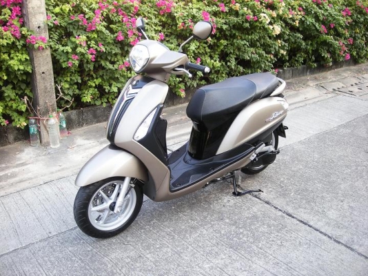 ~~~ ขายมอไซค์ 21 คัน  XSR 1 CBR 1 CB150 1 ADV 1 NMAX 1 AEROX 2 Lexi 1 Grand Filano 2 QBIX 4 GT125 3 Fino 2 Super Cub 1  Finn 1  ~~~