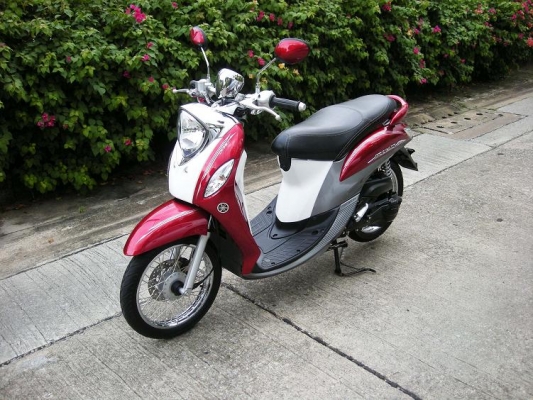 ~~~ ขายมอไซค์ 21 คัน  XSR 1 CBR 1 CB150 1 ADV 1 NMAX 1 AEROX 2 Lexi 1 Grand Filano 2 QBIX 4 GT125 3 Fino 2 Super Cub 1  Finn 1  ~~~