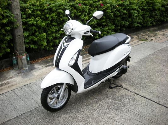 ~~~ ขายมอไซค์ 21 คัน  XSR 1 CBR 1 CB150 1 ADV 1 NMAX 1 AEROX 2 Lexi 1 Grand Filano 2 QBIX 4 GT125 3 Fino 2 Super Cub 1  Finn 1  ~~~