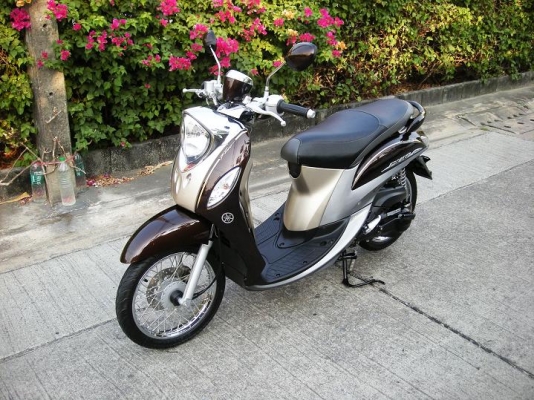 ~~~ ขายมอไซค์ 21 คัน  XSR 1 CBR 1 CB150 1 ADV 1 NMAX 1 AEROX 2 Lexi 1 Grand Filano 2 QBIX 4 GT125 3 Fino 2 Super Cub 1  Finn 1  ~~~