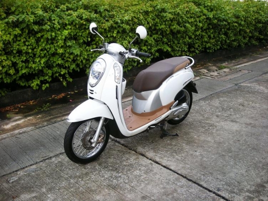 ~~~ ขายมอไซค์ 21 คัน  XSR 1 CBR 1 CB150 1 ADV 1 NMAX 1 AEROX 2 Lexi 1 Grand Filano 2 QBIX 4 GT125 3 Fino 2 Super Cub 1  Finn 1  ~~~