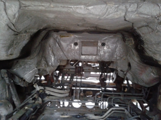 ขายห้ว ROCKY ตาหวาน ตัดคัสซี Japan มีผุ ภายในสวยมาก