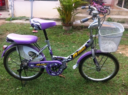 จักรยานอเนกประสงค์ ราคาถูกๆ890บาท จักรยานอเนกประสงค์ ราคาถูกๆ890บาท