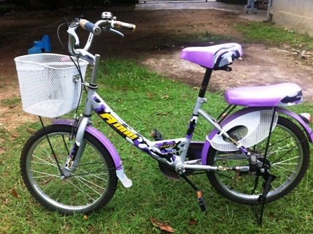 จักรยานอเนกประสงค์ ราคาถูกๆ890บาท