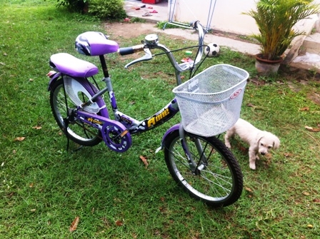 จักรยานอเนกประสงค์ ราคาถูกๆ890บาท จักรยานอเนกประสงค์ ราคาถูกๆ890บาท