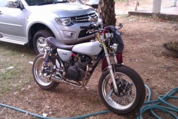 ขายโมตาดล้อโตๆ