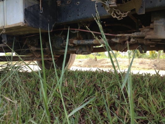 ISUZU ELF 6 ล้อดั้ม ราคาลดสุดๆๆ ค่ะ พี่หนุ่มจังหวัดชัยภูมิจองแล้วค่ะ ISUZU ELF 6 ล้อดั้ม ราคาลดสุดๆๆ ค่ะ พี่หนุ่มจังหวัดชัยภูมิจองแล้วค่ะ