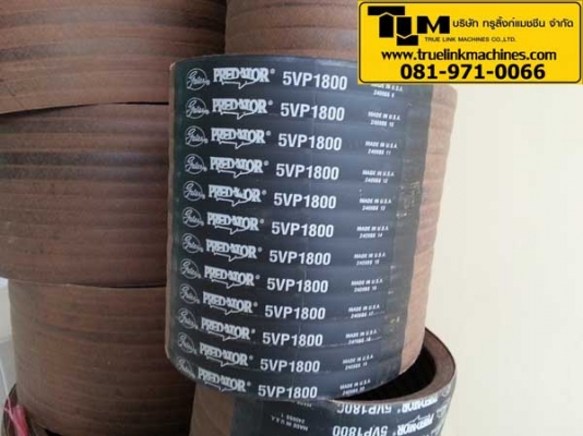 สายพาน 12/5VP1800 , 12/5VF1800 , 12/5VP1900 สายพาน 12/5VP1800 , 12/5VF1800 , 12/5VP1900