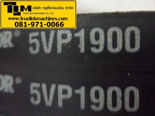 สายพาน 12/5VP1800 , 12/5VF1800 , 12/5VP1900 สายพาน 12/5VP1800 , 12/5VF1800 , 12/5VP1900