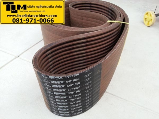 สายพาน 12/5VP1800 , 12/5VF1800 , 12/5VP1900 สายพาน 12/5VP1800 , 12/5VF1800 , 12/5VP1900