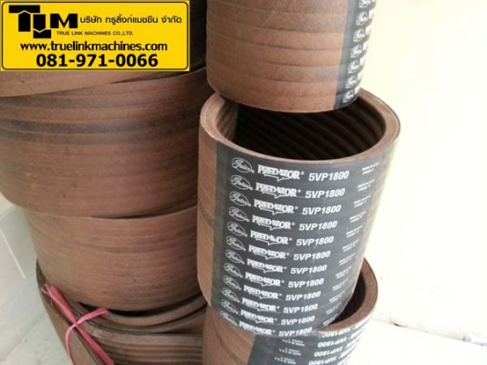 สายพาน 12/5VP1800 , 12/5VF1800 , 12/5VP1900 สายพาน 12/5VP1800 , 12/5VF1800 , 12/5VP1900