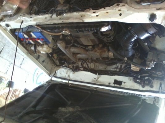 มิตซู ปี 93 ตอนครึ่ง เครื่อง J ติดแก๊ส อโต้ เอกสารเครื่องใบอินวอย ระบบแอร์ขาดรังผึ้ง ครัดซีดี ขับได้วิ่งฉิว ระบบเกียร์ออโต้สมบูรณ์ รอบเกียร์เฟืองท้ายโอเค 58000 กระบะชิ้นหน้าแทบซ้ายผุกระติ๊ดหนึ่งมีแผลสดแมวข่วนฝากระโปงหน้าหน่อย ซุ้มล้อหลังด้านขวาสีโป้แตกหน มิตซู ปี 93 ตอนครึ่ง เครื่อง J ติดแก๊ส อโต้ เอกสารเครื่องใบอินวอย ระบบแอร์ขาดรังผึ้ง ครัดซีดี ขับได้วิ่งฉิว ระบบเกียร์ออโต้สมบูรณ์ รอบเกียร์เฟืองท้ายโอเค 58000 กระบะชิ้นหน้าแทบซ้ายผุกระติ๊ดหนึ่งมีแผลสดแมวข่วนฝากระโปงหน้าหน่อย ซุ้มล้อหลังด้านขวาสีโป้แตกหน