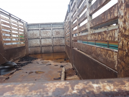 ขายด่วนรถสิบล้อเพลาเดียว  HINO  FL176  สวยๆ  พร้อมใช้งาน