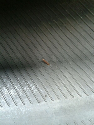 ขายยาง Mud Maxxis 762 ขนาด 265/75R16 ปี 10 สภาพดี ปรับราคาใหม่ หมื่นเดียวครับ ขายยาง Mud Maxxis 762 ขนาด 265/75R16 ปี 10 สภาพดี ปรับราคาใหม่ หมื่นเดียวครับ