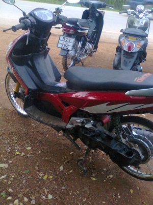 นูโวเอ็มเอ็กซ์ปี48