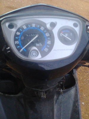 นูโวเอ็มเอ็กซ์ปี48