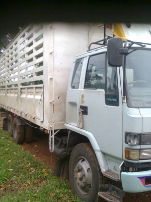 isuzu ร็อกกี้