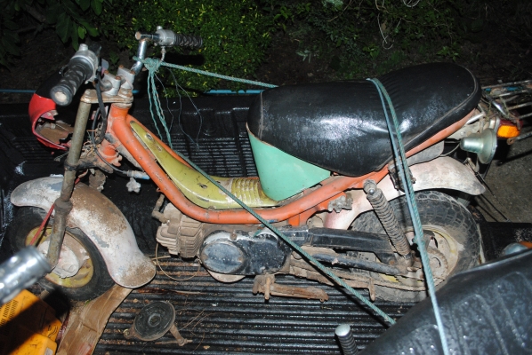 ขาย yamaha chappy เกียร์ออโต