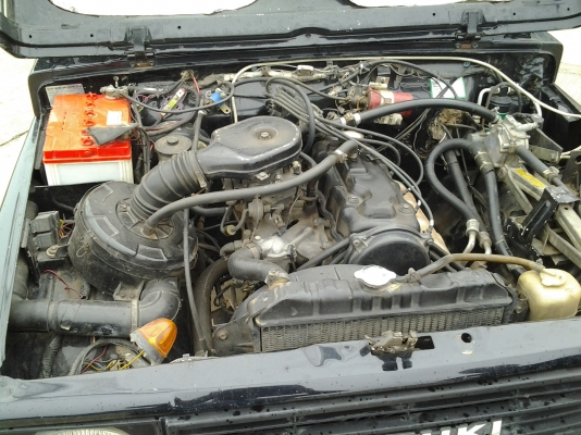 ขายคาริเบี้ยนเดิมๆสวยๆ1