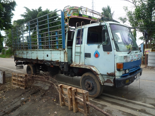 ร็อกกี้ ขายถูก ร็อกกี้ ขายถูก