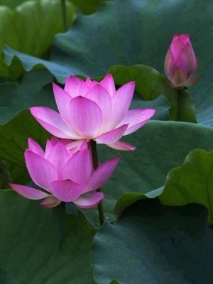 ฟรี. ...ข่าวดี. สำหรับ ผู้สนใจ. เรียนรู้. เริ่มต้น. การเป็นผู้ประกอบ การข่นส่ง. เจ้าของกิจการ. ยุคไอที. เรียนรู้. เทคนิค. การดูจีพีอาเอส  ติดตามรถบรรทุกขนส่งของท่าน. ทาง ทีมงานประหยัด. ดีจัง. มีการจัดงาน. ประชุม. อบรม จากวิทยากร. มืออาชีพ. ให้. คำแนะนำการ