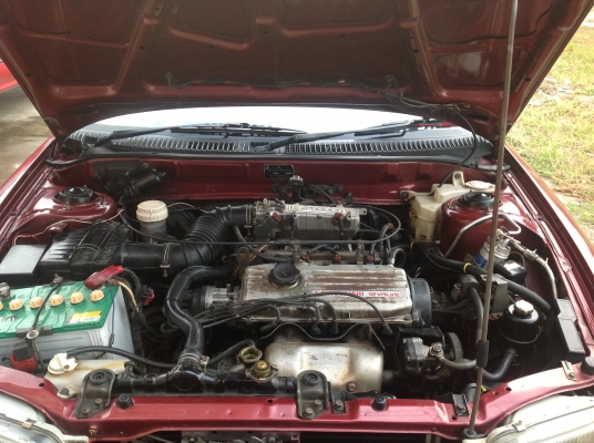 ขาย อีคา ป.94 แดงเลือดหมู ขาย อีคา ป.94 แดงเลือดหมู