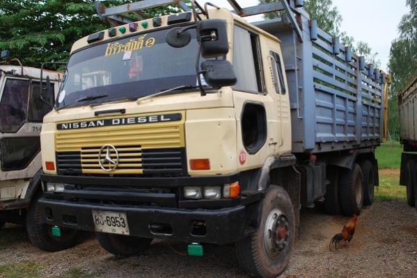 ขาย NISSAN หัวปิ๊บ 2 เพลาดั๊ม DL