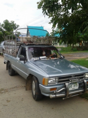 ขายกระบะ TOYOTA ฮีโร่ พร้อมคอกเหล็ก เครื่องดี แชสซีสวย เอกสารพร้อมโอน